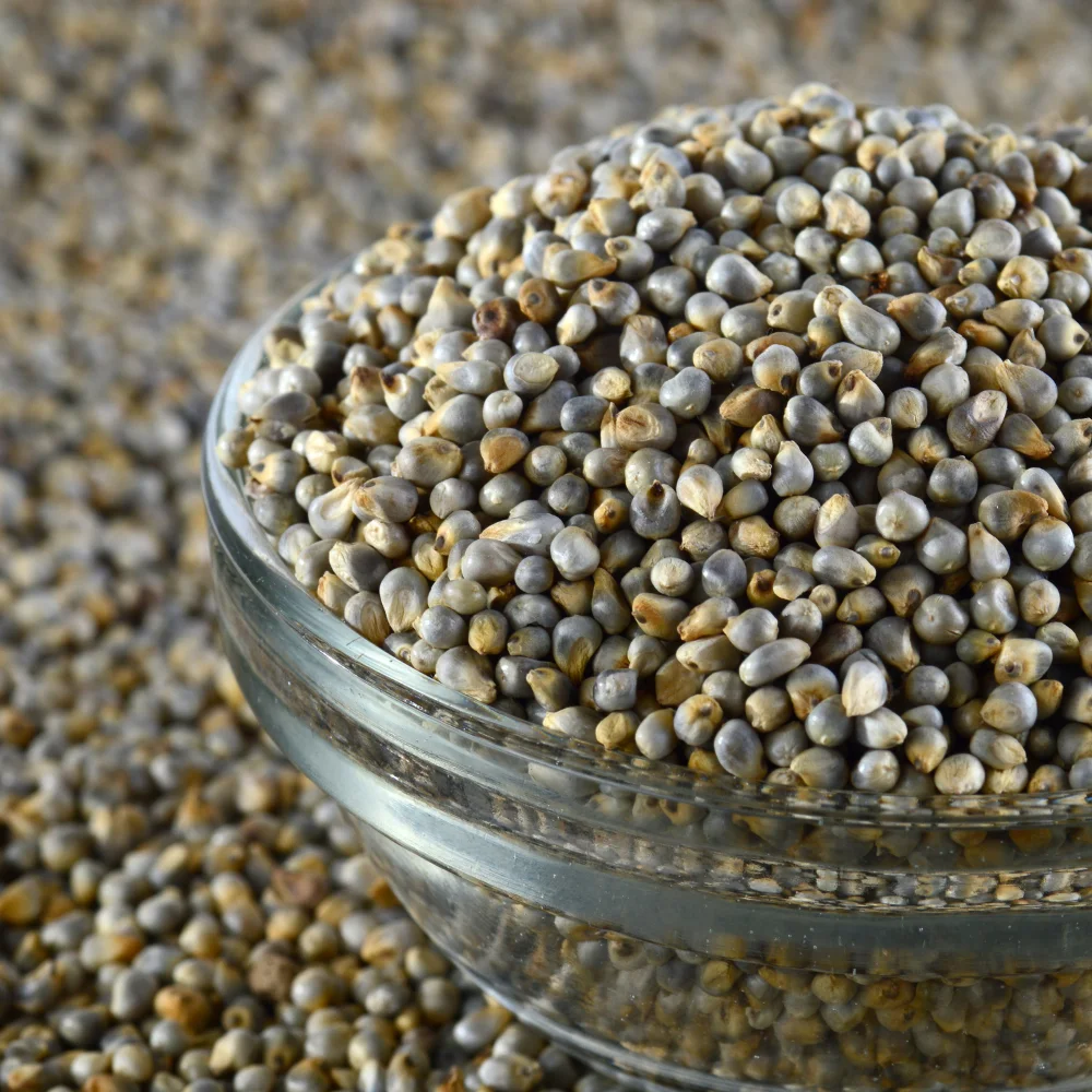 Bajra export from India