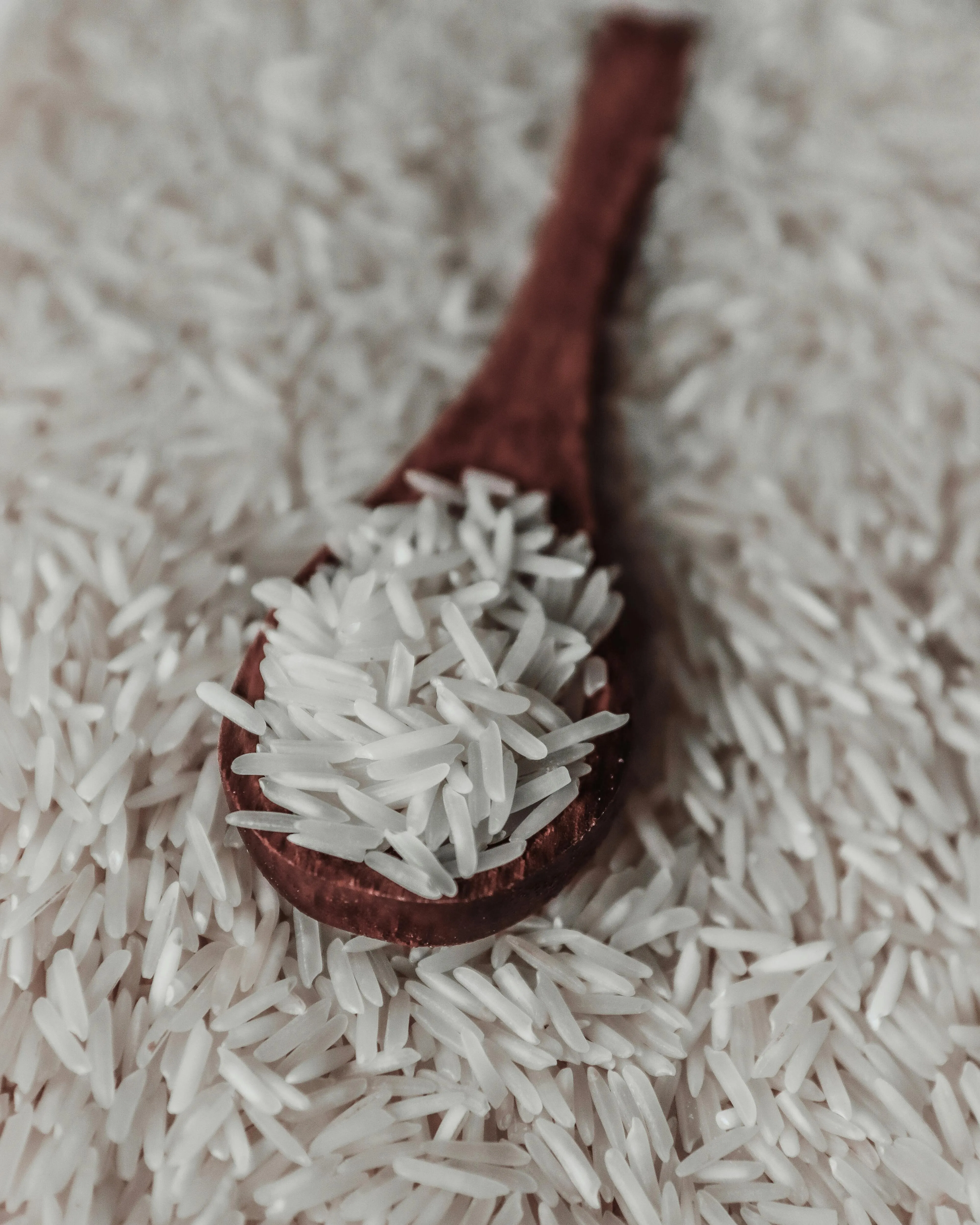 Basmati Rice export from India