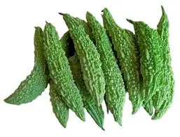 Bitter Gourd export from India