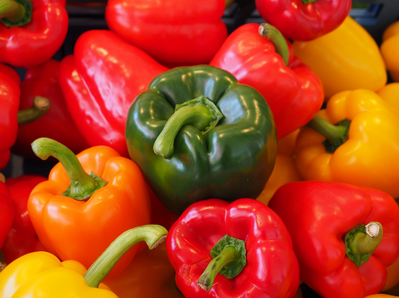 Capsicum export from India