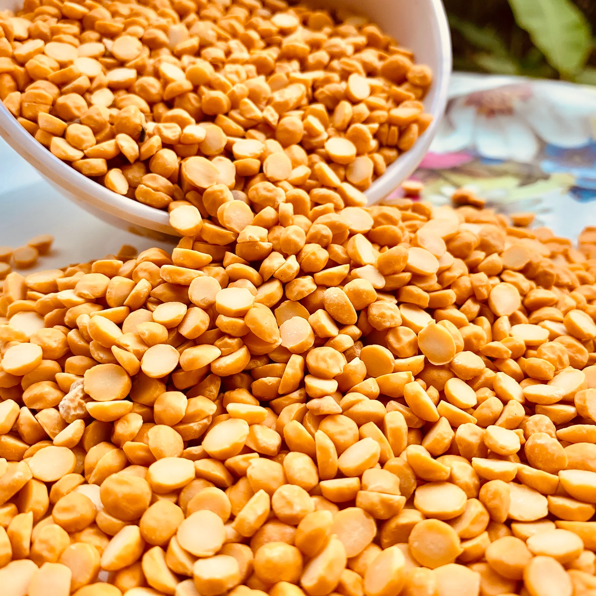 Chana Dal export from India