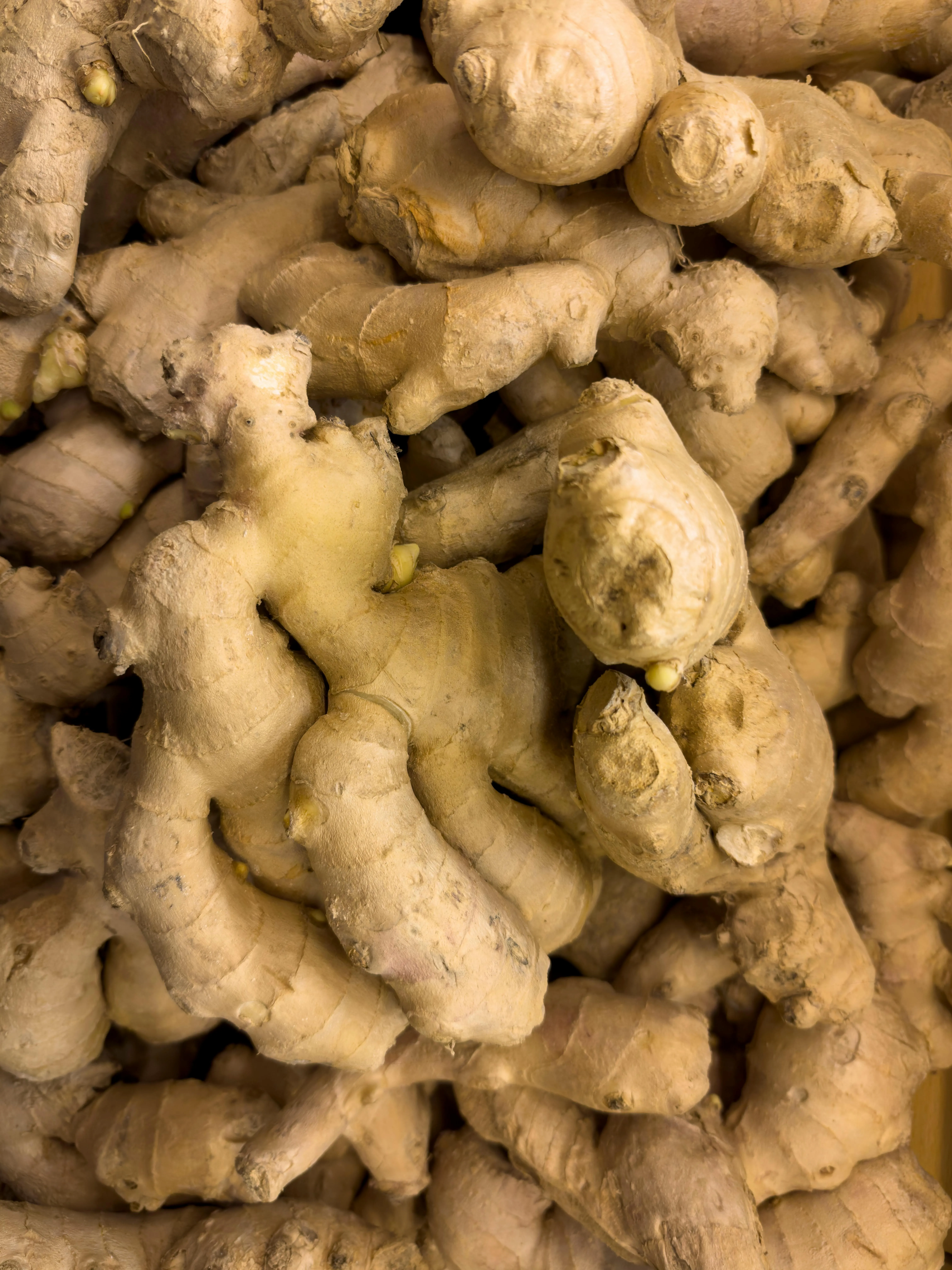 Ginger export from India