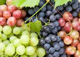 Grapes export from India
