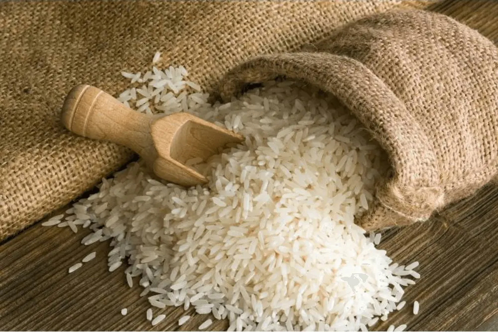 Non Basmati Rice export from India