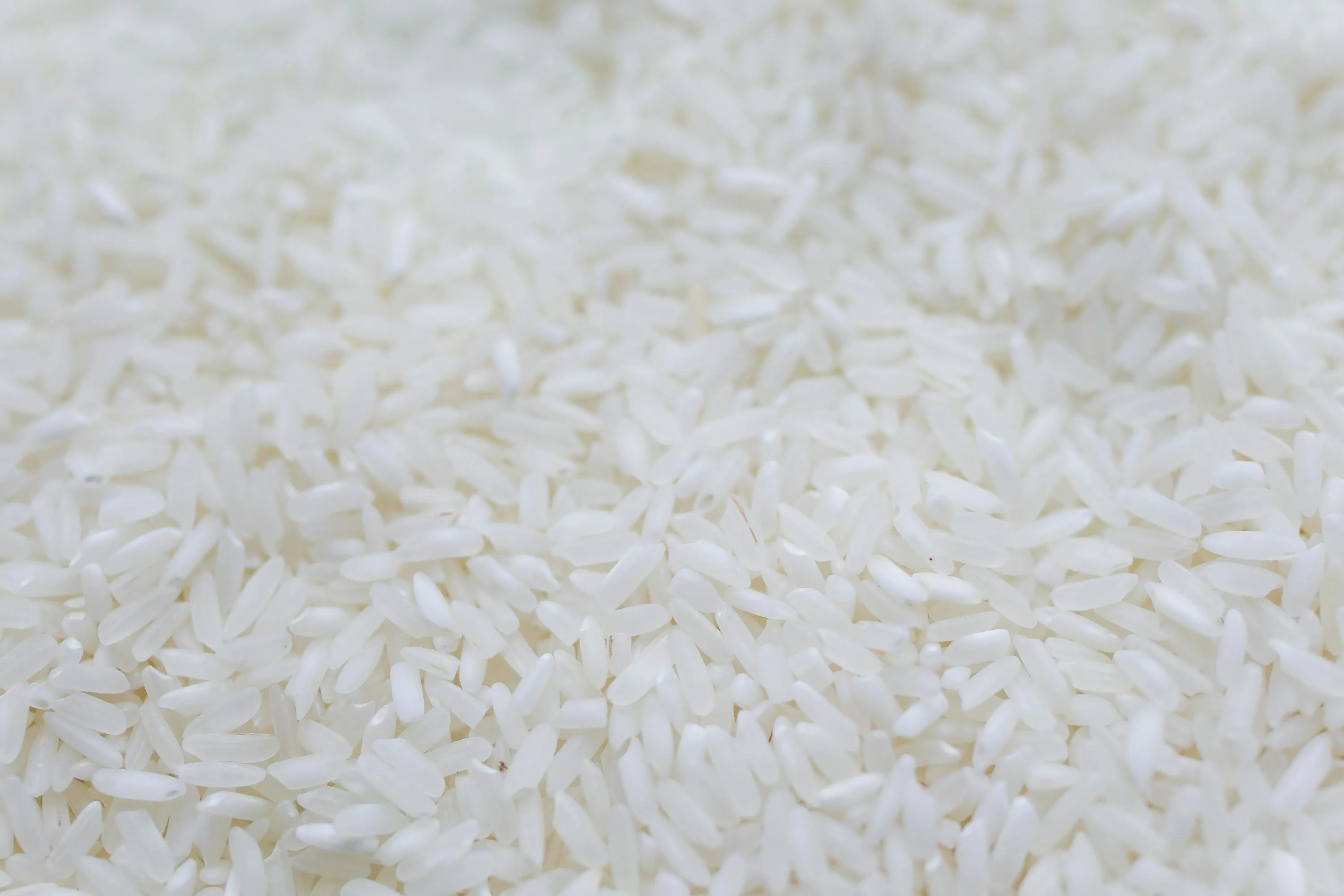 Parboiled Rice export from India