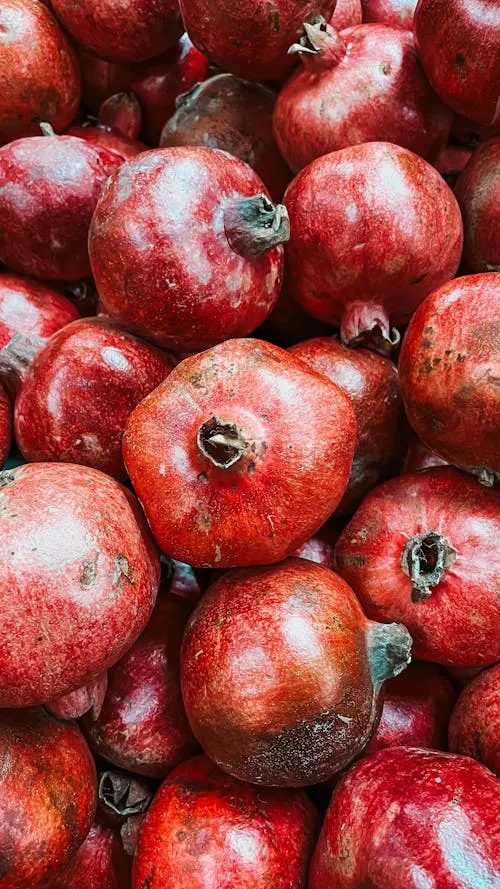 Pomegranate export from India