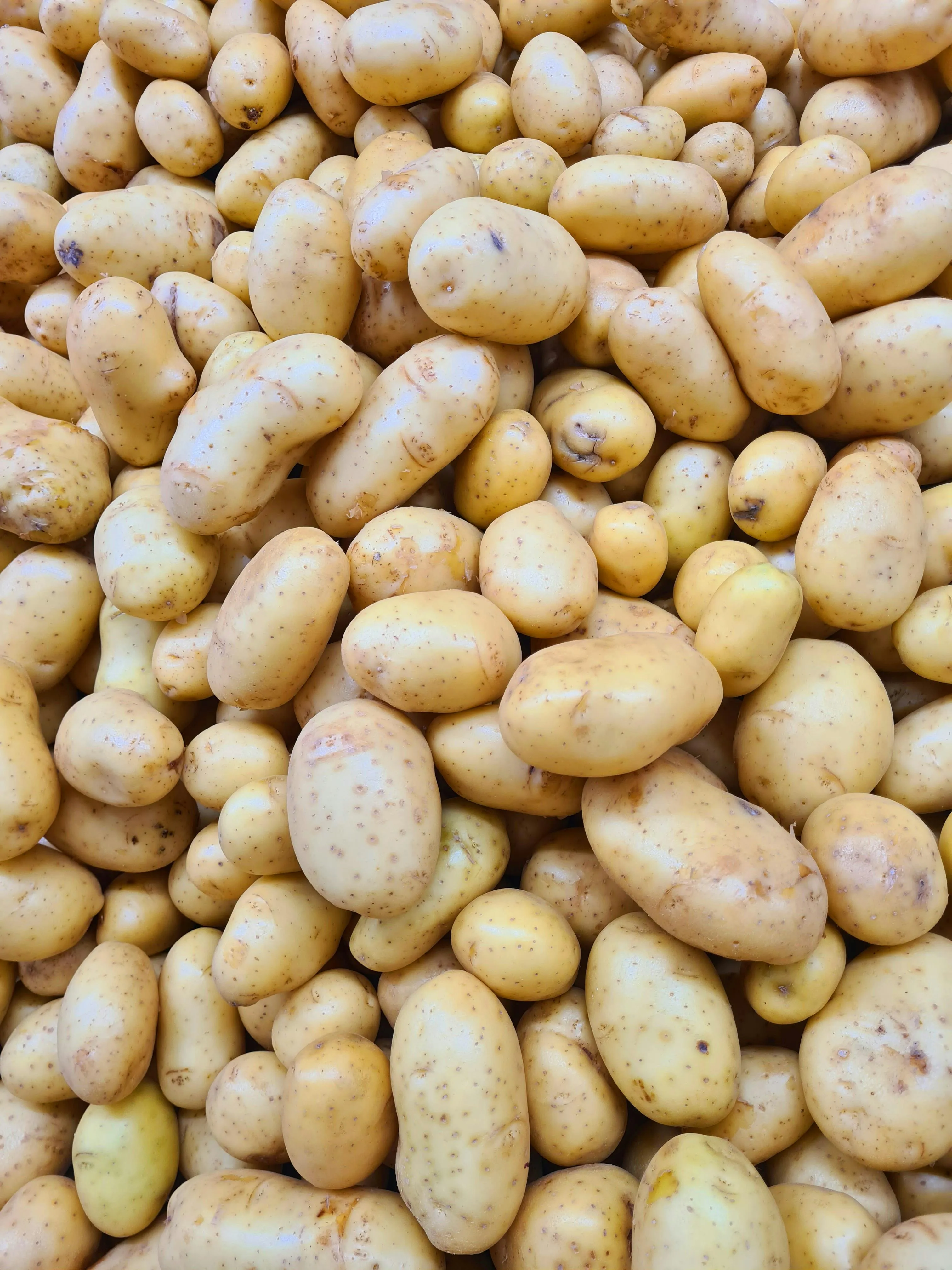 Potato export from India