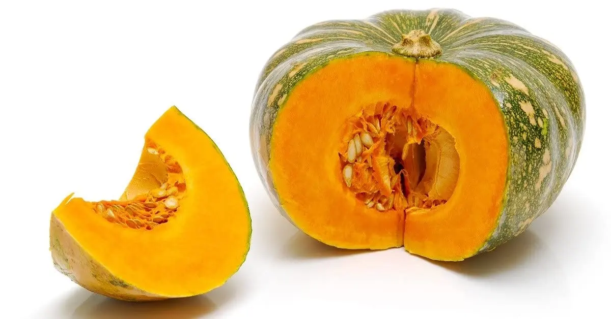 Pumpkin export from India