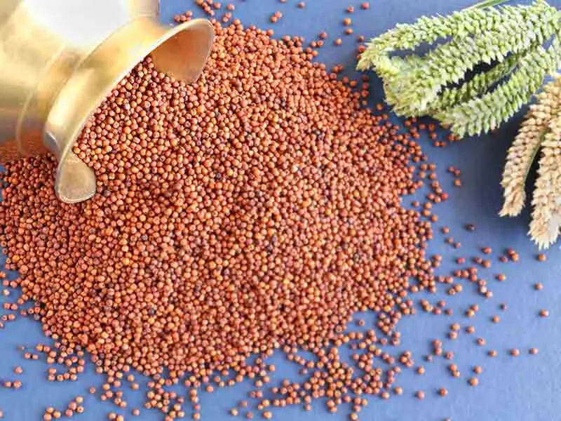 Ragi export from India