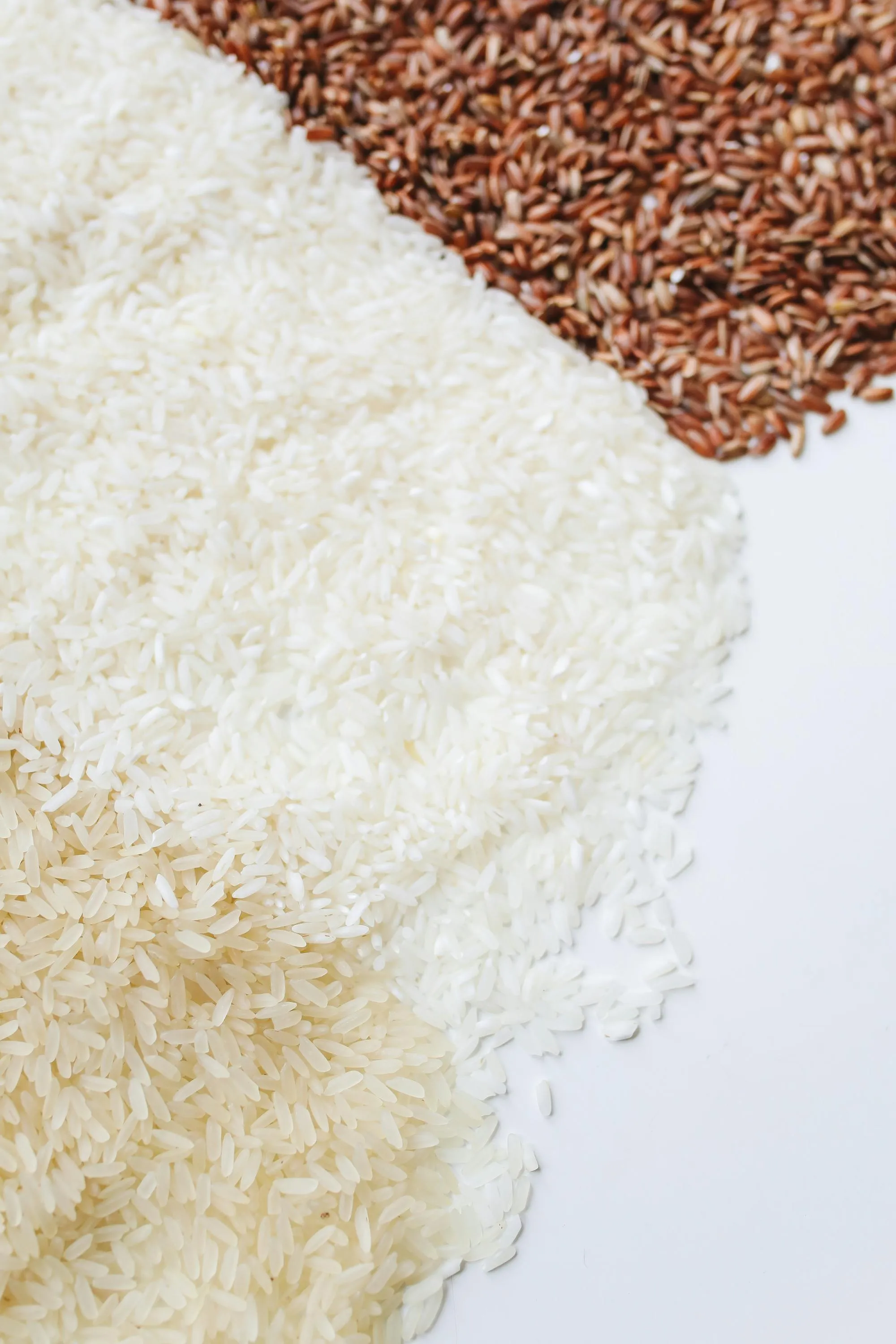 Raw Rice export from India